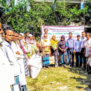 প্রনোদনা কর্মসূচীর বীজ ও সার বিতরণ,দৌলতপুর,মানিকগঞ্জ